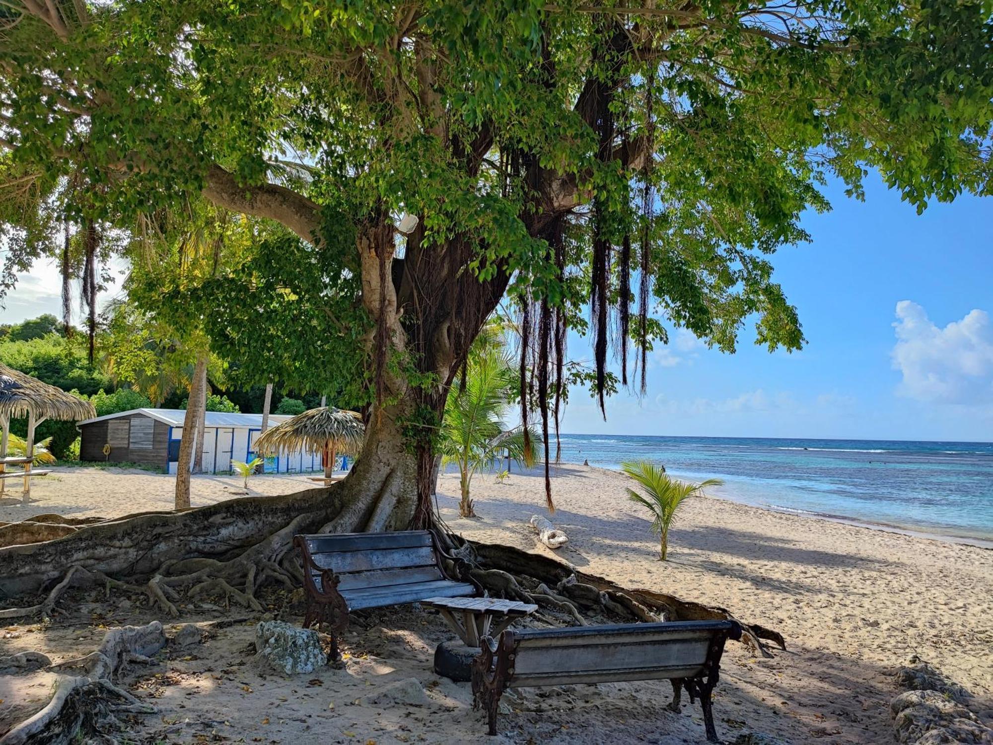 Studio Kawane Anse Des Rochers 303 Rdc, Cote Mer Saint-Francois  Luaran gambar